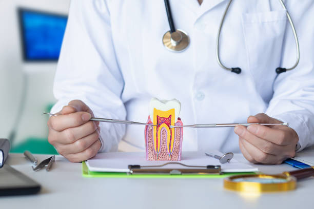 Best Emergency Root Canal Treatment in Waxhaw, NC